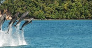 Exploring the best Ocean Adventure at Subic Bay