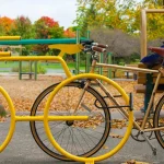 How to Incorporate Themed Bicycle Racks in Your City    