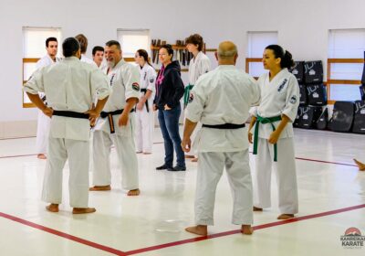 Why is karate more than just self-defence?