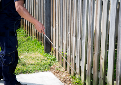 Green Pest Control in Singapore: A Sustainable Approach to Pest Management