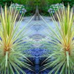 Cordyline Plant Care Secrets Every Gardener Should Know