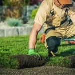 Topsoil vs. Garden Soil: How to Choose the Right Bulk Soil for Your Landscaping Project