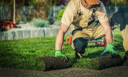 Topsoil vs. Garden Soil: How to Choose the Right Bulk Soil for Your Landscaping Project
