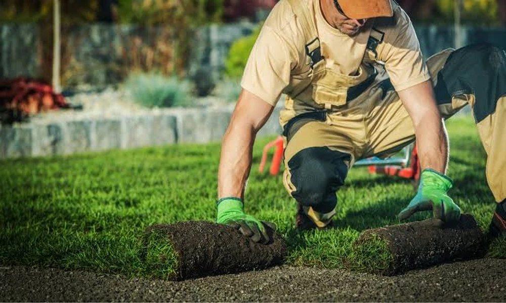 Topsoil vs. Garden Soil: How to Choose the Right Bulk Soil for Your Landscaping Project