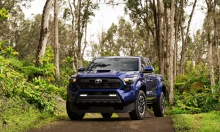 Discovering used Tacoma for sale in San Diego with Practical Truck Features